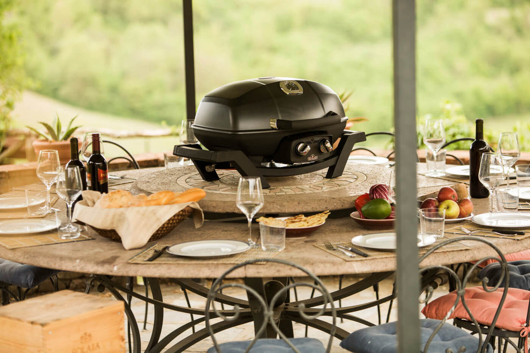 Napoleon TravelQ Pro285 - Portable Gas Grill