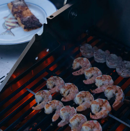 Monument Grills "M200S" Blue Gas Grill - Mesa Series