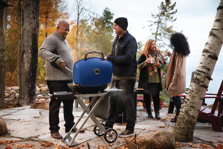 Napoleon TravelQ™ 285X Portable Propane Gas Grill - Blue/Red