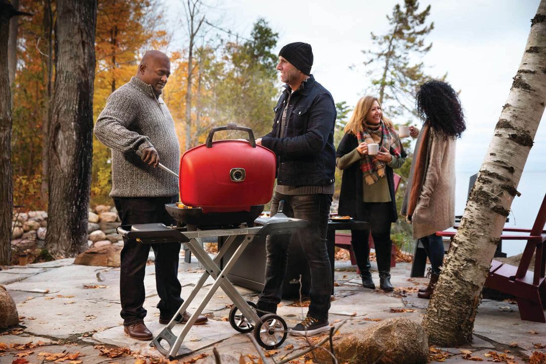 Napoleon TravelQ™ 285X Portable Propane Gas Grill - Blue/Red